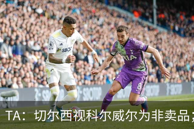 TA：切尔西视科尔威尔为非卖品；马马杜-萨尔内部评价很高